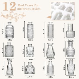 Eennyii 12 Pcs Clear Glass Bud Vase Set Bulk - Vintage Rustic Wedding Centerpieces, Home Table Flower Decor for Weddings, Events, Parties (Small Vases for Flowers, Décor)