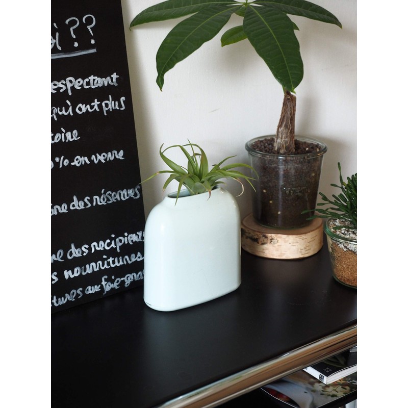 DUENDE PICCOLA Light Tissue Case