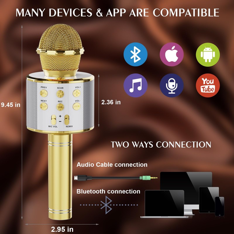 DigitConvert Karaoke Microphone, Bluetooth Microphone Karaoke Children, Home KTV Karaoke