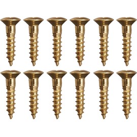 SCUD TS-11GDH Pickguard Screw, Domestic Type, Millimeter, 12P Gold