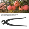 Bonsai Branch Cutter Professional Manganese Steel Bonsai Trim Pliers for
