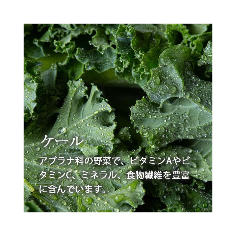 Lipsa Official T-616 Green Juice Powder