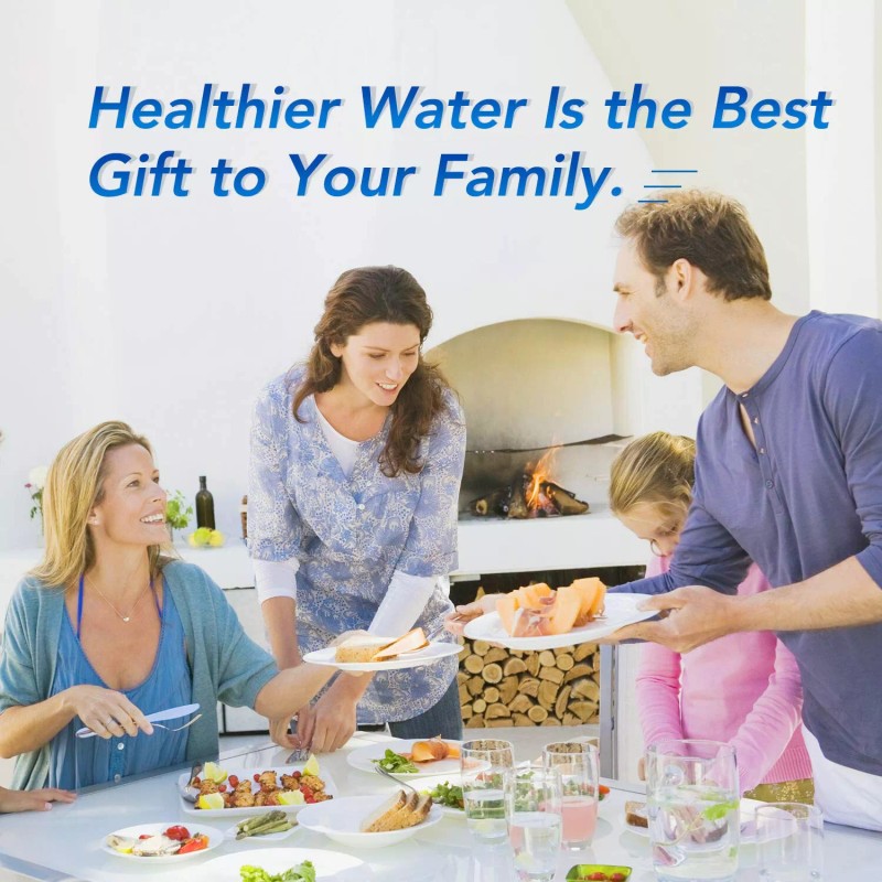 ICEPURE RWF0600A Refrigerator Water Filter Compatible for GE MWF, MWFINT,