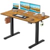 Marsail Electric Standing Desk with One-Piece Desktop,48 x 30 inch