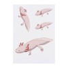 4 x 'Long Axolotl' Temporary Tattoos - Water Resistant, Skin-Safe,