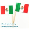 JBCD Mexico Toothpick Flag Mexican Mini Small Cupcake Topper Flags,
