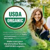 USDA Organic Marshmallow Root 10:1 Extract, 3000 mg Strength, 120