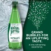 Maison Perrier Sparkling Water 16.9 Fl Oz Pack of 12