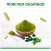 Suplemento Moringa Orgnico 60 Cpsulas De 500 Mg Bulk Superfoods
