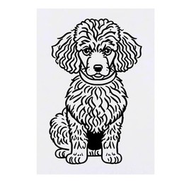 'Poodle' Temporary Tattoo - Water Resistant, Skin-Safe, Non-Toxic Transfer (TO00067629)
