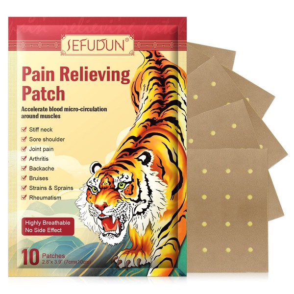 Pain Relief Patches, (2Pack 20 PCS) Chinese Pain Relief Plaster