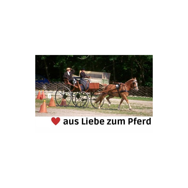 Post Bit Rod Fixed Side Panels Driving Horses Carriage