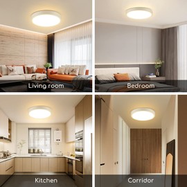 Aigostar LED Ceiling Light Flat 24 W, 3000 K, Diameter 289 mm, 2500 LM Lamps Ceiling Ideal for Living Room, Bedroom, Kitchen, Balcony, Warm White LED Lamps, Ceiling Lamps, Diameter 289 mm x Height 38