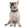 Hifrenchies Studded Dog Collar Mushroom Studded Adjustable Microfiber Leather Pet