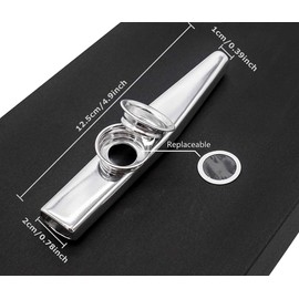 Metal Kazoo with A Beautiful Gift Box, Mini Musical Instrument for Kids And Adults (Silver)