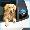 Stay Safe with 'Just Chillin' Car Sign - Visible Pet