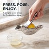 Stainless Steel Lemon Manual Lemon Juicer Squeezer Bird Shape Lemon