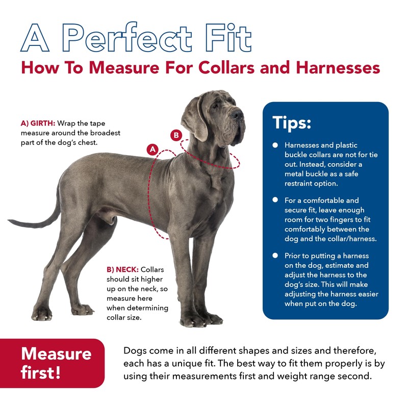 Coastal Pet Reflective Control Handle Harness - Reflective Harness for