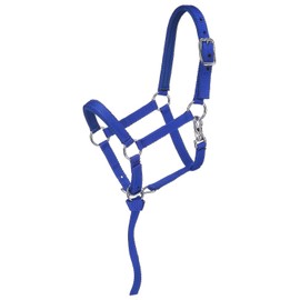 Tough 1 Nylon Padded Miniature Halter, Blue/Royal, Large