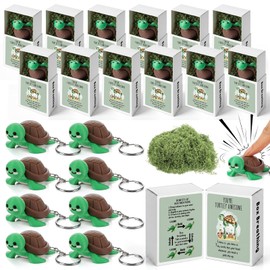 Qilery 30 Sets Turtle Fidget Clicker Keychains Gift Boxes Back to School