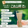 ドクターズナチュラルレシピ ボタニカルライフプロテイン ソイプロテイン チョコレート味 375g