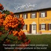 Giuseppe Giusti Fig Balsamic Vinegar - Flavored Balsamic Vinegar of