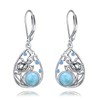 POPLYKE Larimar Turtle Beach Earrings for Women Sterling Silver Cage