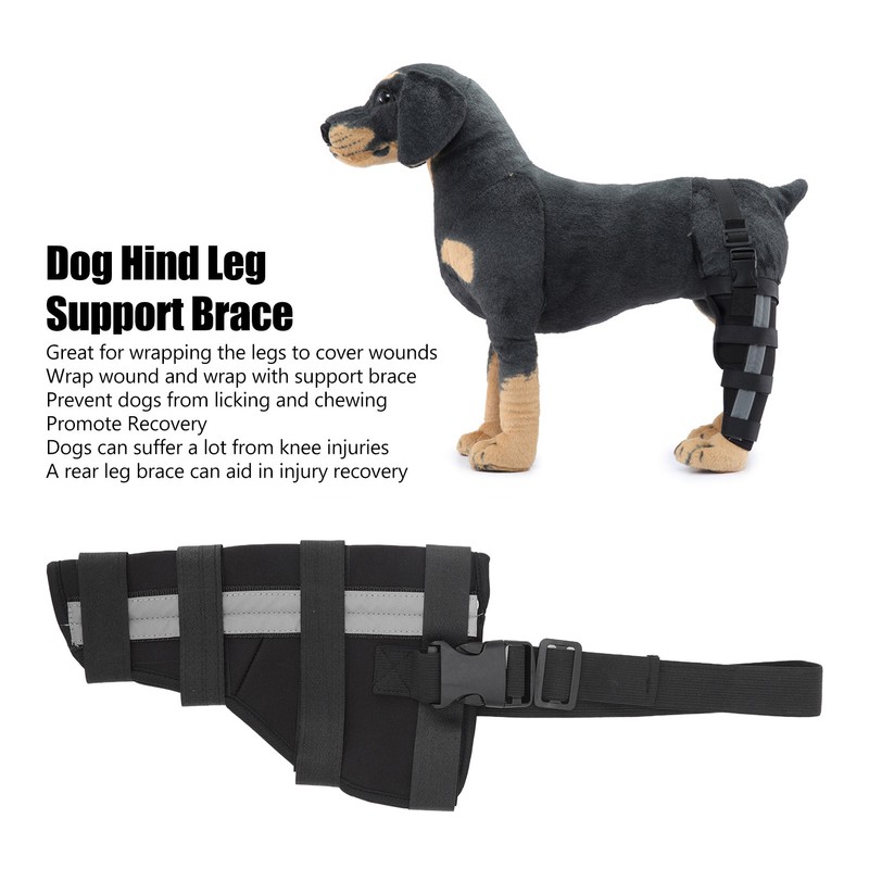 Dog Hind Leg Brace Stable Support Knee Pads Puppy Rear