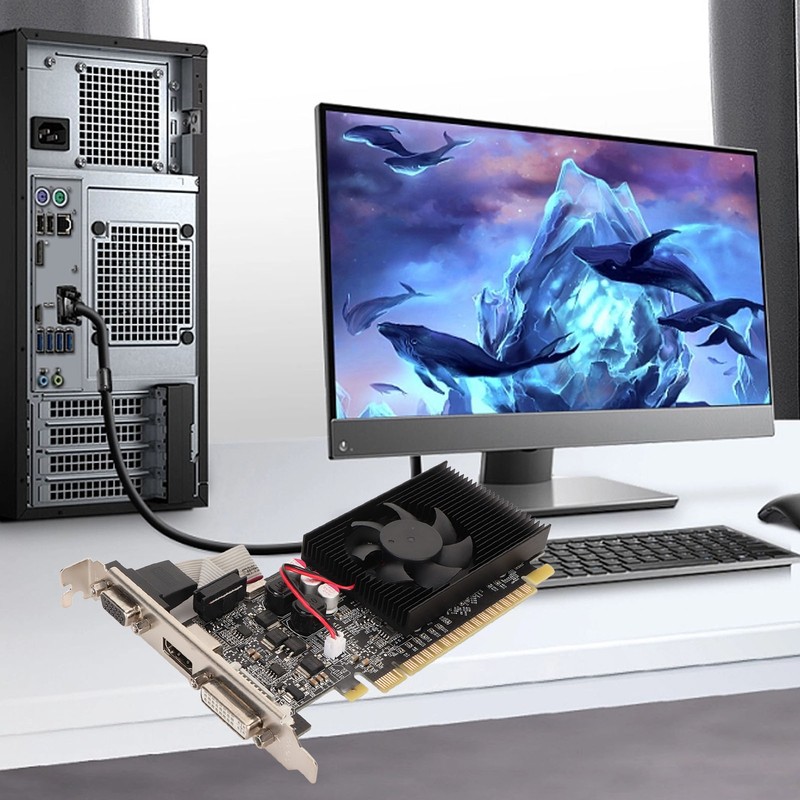 Graphics Card GT610 2GB Independent 64 Bit with VGA DVI