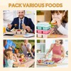 4 Pack Bento Snack Box, 5 Compartment Lunchable Snack Containers,