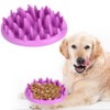 Pet Dog Slow Food Feeder Anti Choke Cat Eating Bowl