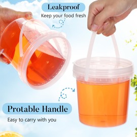 DOITOOL 2Pack Clear Plastic Bucket with Lid and Handle (1L) Ice Cream Tub with Lids, Food Grade Round Plastic Pail Container, Freezer Food Storage Containers