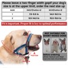ANDA Gentle Leader Ultra-Light No-Pull Dog Headcollar: Adjustable, Breathable Comfort,