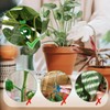 RDNKVB Gardening Plant Support - Innovative Plant Training Clips for