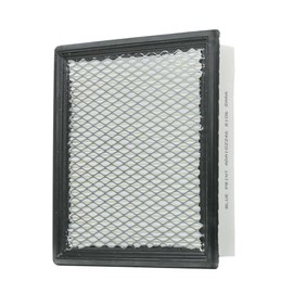 Blue Print ADA102246 Air Filter, Pack of 1