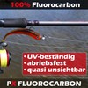 Paradox Fishing 100% PX Fluorocarbon Leader 0.40 mm 30 m