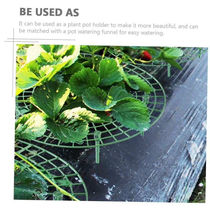 BIUDECO Pcs Strawberry Planting Brackets Plant Climbing Racks for Balcony