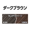 Hoyu Men's Bigen Color Rinse (Dark Brown) 5.6 oz (160