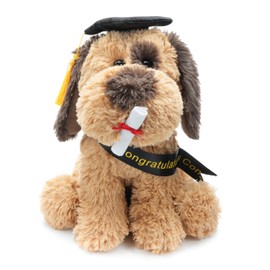 WEIGEDU Plush Dog Puppy Stuffed Animal with Graduation Doctoral Tam Velvet Gold Bullion Tassel Diploma for Man Women Girls Boys Graduation Congratulatory Party Gifts, 12 inches