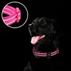 azuza Reflective Dog Collar, Soft Chloroprene Rubber Filled Pet Collar
