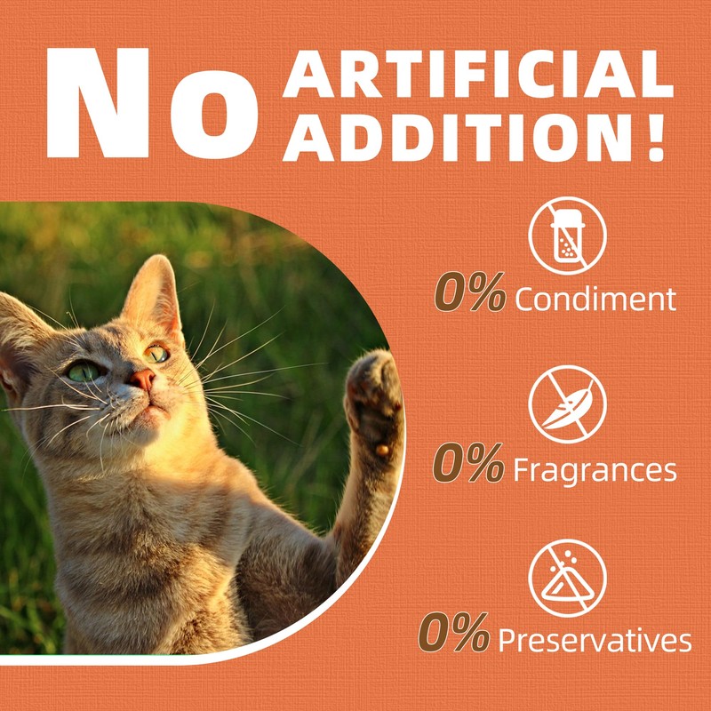 Just Try Dental Health Treats for Cats - Advanced Kelp