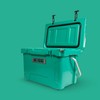 Hogg 20 qt Hard Cooler with Handle, Insulated Portable Cooler,