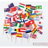 Everflag Toothpick: 50 Countries Assorted Colours