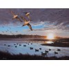 2015 Arkansas Ducks Unlimited Sponsor Print Signed AP Humphrey Farm