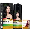 Herbishh Champú de color para cabello - Champú y acondicionador