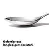 OXO Steel Serving Spoon
