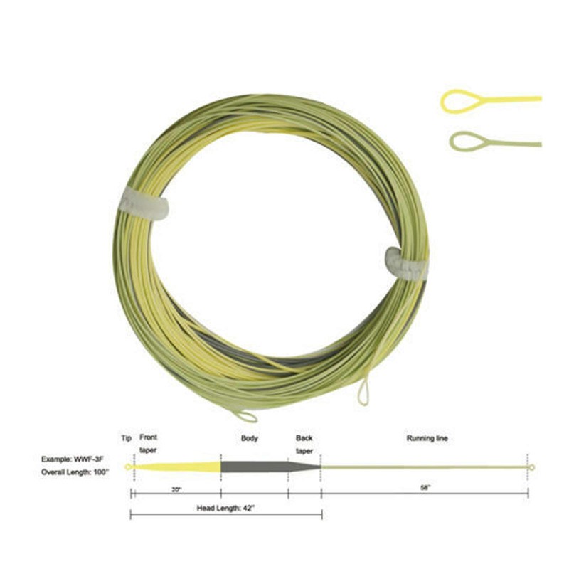 (WWF1F) - Aventik Long Front Taped Fly Line Sure Cast