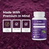 Elvera Elderberry Gut Support Complex - Organic Black Elderberry Soft