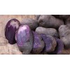 Simply Seed Blue Potato Seed 3 LB Ready To Grow