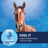 Equine Products Cool It Paste. Calmer For Horses. Fed to